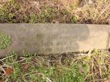 image of grave number 433006